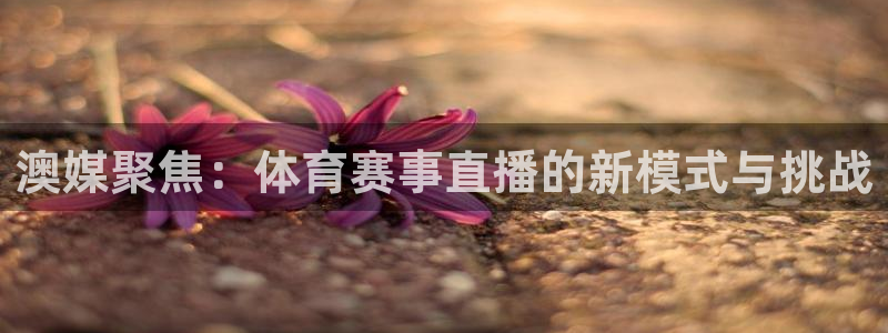 新闻图片