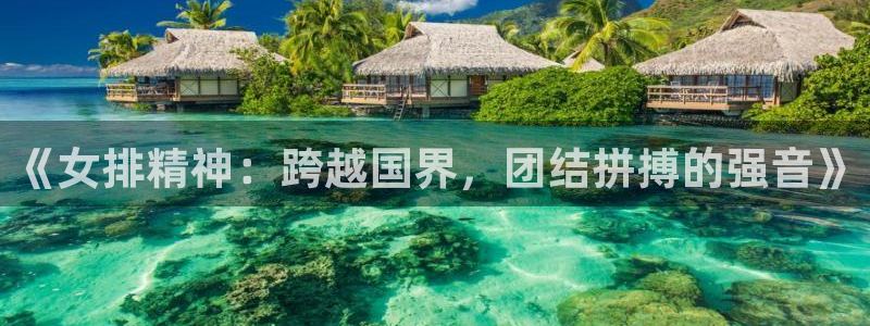 《女排精神：跨越国界，团结拼搏的强音》