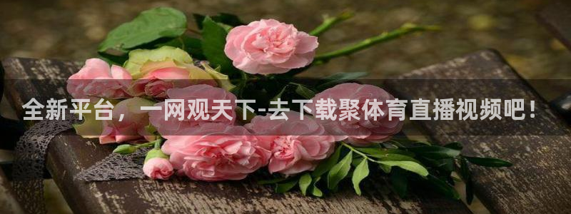 全新平台，一网观天下-去下载聚体育直播视频吧！