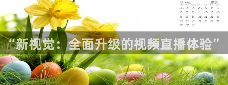 “新视觉：全面升级的视频直播体验”