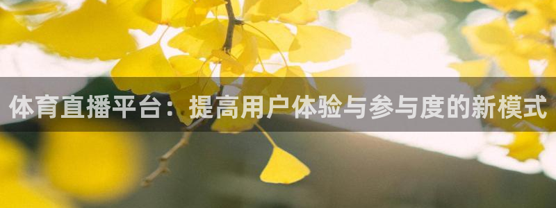 体育直播平台：提高用户体验与参与度的新模式